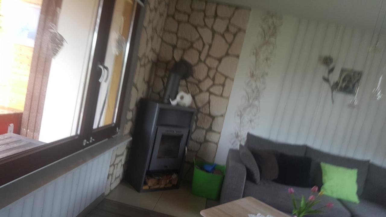 Ferienhaus Am Teich Rottleberode Zewnętrze zdjęcie