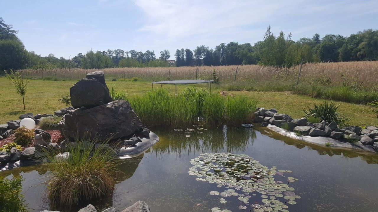 Ferienhaus Am Teich Rottleberode Zewnętrze zdjęcie