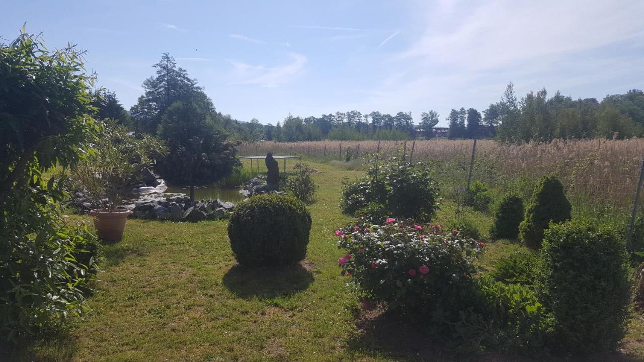 Ferienhaus Am Teich Rottleberode Zewnętrze zdjęcie