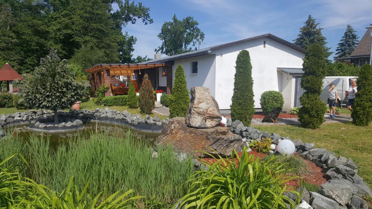 Ferienhaus Am Teich Rottleberode Zewnętrze zdjęcie