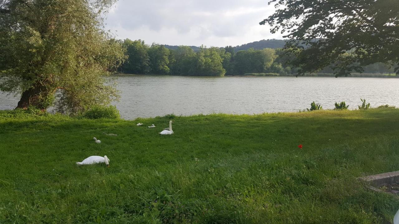 Ferienhaus Am Teich Rottleberode Zewnętrze zdjęcie